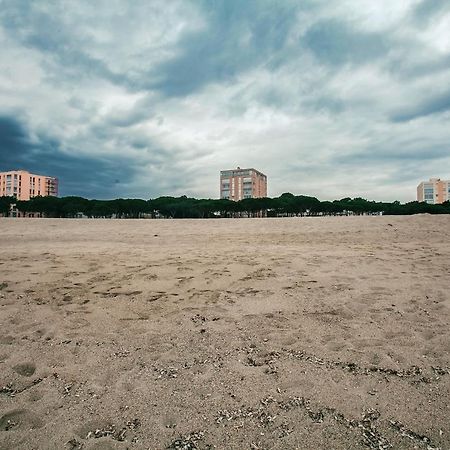Studio Les Pieds Dans L'Eau Argeles Sur Mer Εξωτερικό φωτογραφία