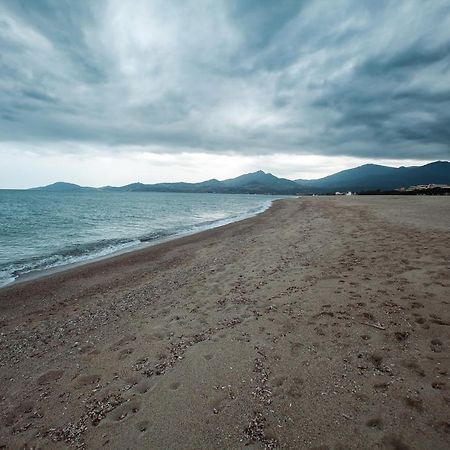 Studio Les Pieds Dans L'Eau Argeles Sur Mer Εξωτερικό φωτογραφία