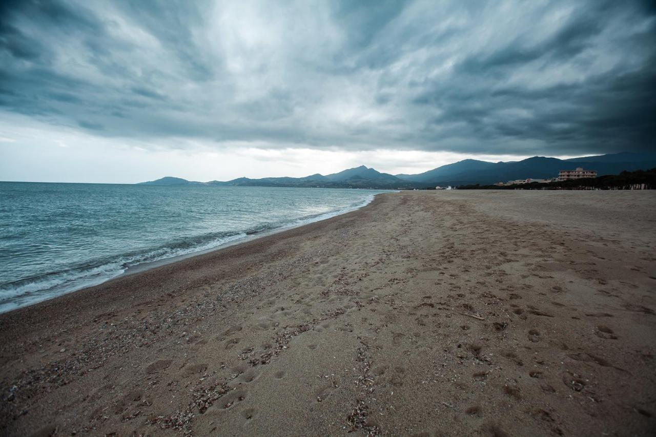 Studio Les Pieds Dans L'Eau Argeles Sur Mer Εξωτερικό φωτογραφία