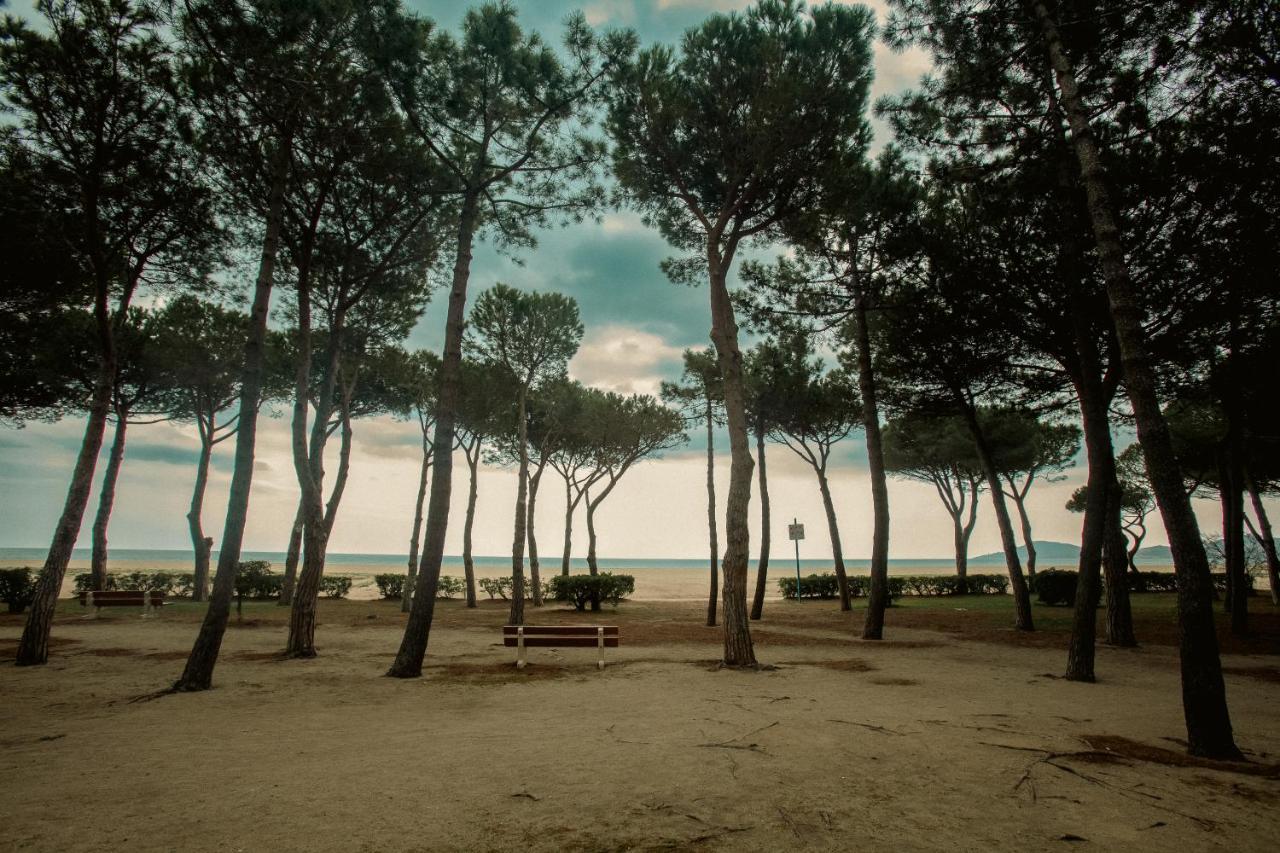 Studio Les Pieds Dans L'Eau Argeles Sur Mer Εξωτερικό φωτογραφία